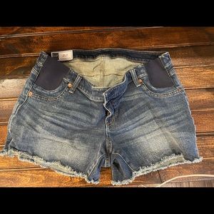 Gap Maternity Shorts (Size 8)